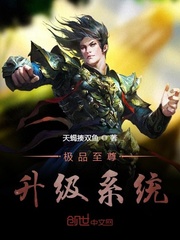 极品至尊升级
