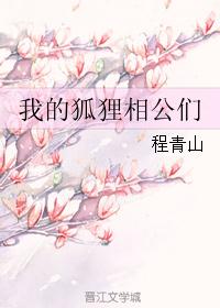 我的狐狸相公